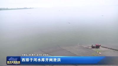 西排子河水库开闸泄洪