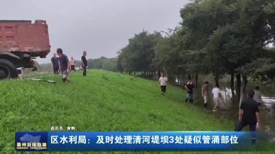 区水利局：及时处理清河堤坝3处疑似管涌部位