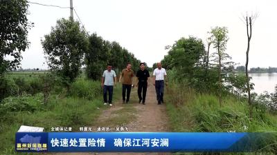 快速处置险情  确保江河安澜