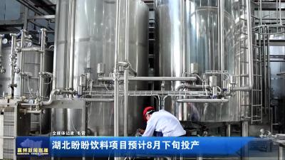 湖北盼盼饮料项目预计8月下旬投产