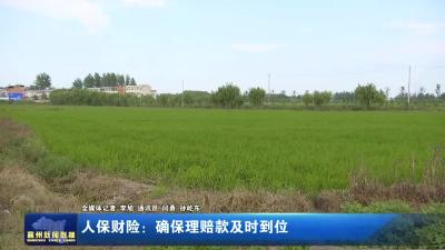 人保财险：确保理赔款及时到位