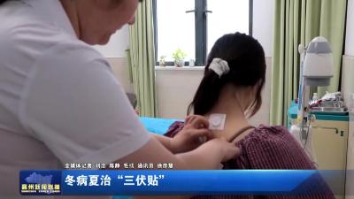 冬病夏治“三伏贴”