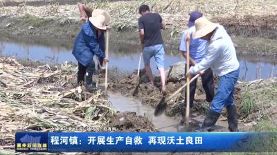 程河镇：开展生产自救 再现沃土良田