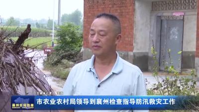 市农业农村局领导到襄州检查指导防汛救灾工作