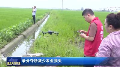 争分夺秒减少农业损失