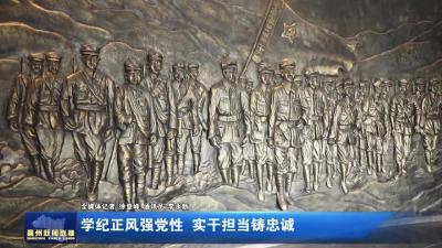 学纪正风强党性，实干担当铸忠诚