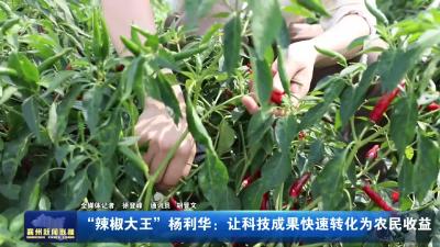 “辣椒大王”!杨利华：让科技成果快速转化为农民收益