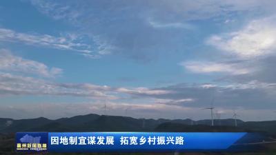 因地制宜谋发展 拓宽乡村振兴路