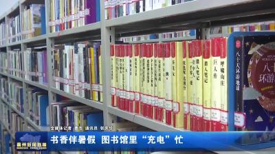 书香伴暑假  图书馆里“充电”忙