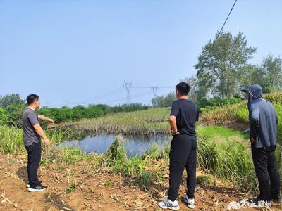 峪山镇人大代表调研耕地流失整改工作 守牢耕地保护红线