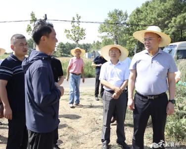 市领导到襄州调研群众身边不正之风和腐败问题集中整治等工作