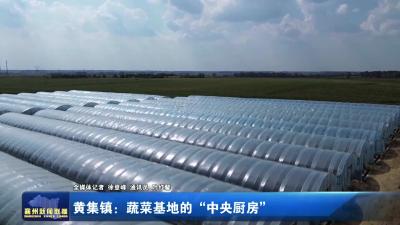 黄集镇：蔬菜基地的“中央厨房”
