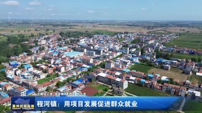 程河镇：用项目发展促进群众就业