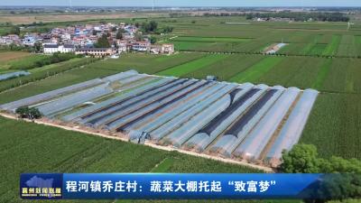 程河镇乔庄村：蔬菜大棚托起“致富梦”
