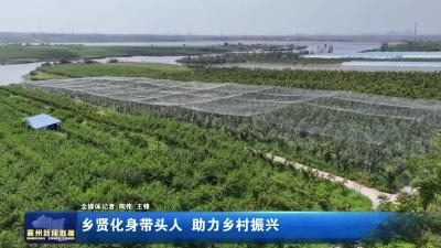 乡贤化身带头人 助力乡村振兴