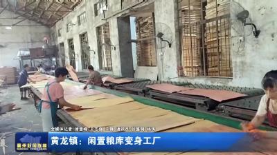 黄龙镇：闲置粮库变身工厂