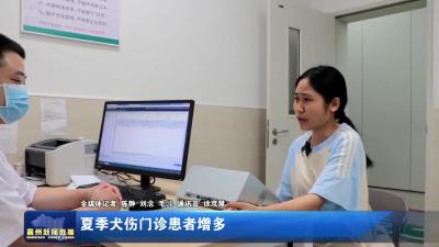 夏季犬伤门诊患者增多