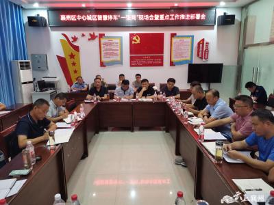 我区召开中心城区智慧停车“一张网”现场会暨重点工作推进部署会