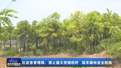 区应急管理局：禁止露天焚烧秸秆 筑牢森林安全防线