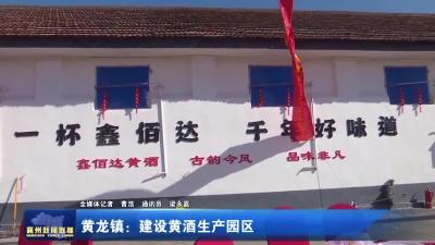 黄龙镇：建设黄酒生产园区
