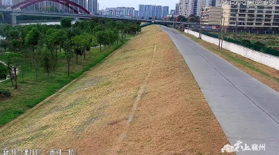 美化堤防环境 喜迎国庆佳节