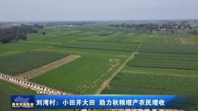 刘湾村：小田并大田 助力秋粮增产农民增收