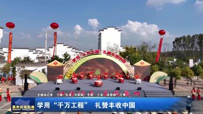 学用“千万工程” 礼赞丰收中国