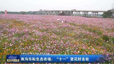 双沟乐耘生态农场： “十-”赏花好去处
