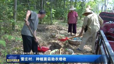 雷庄村：种植菌菇助农增收