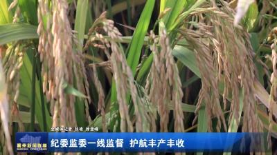 纪委监委一线监督 护航丰产丰收
