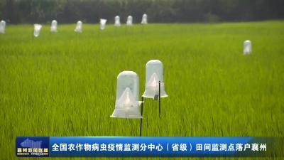 全国农作物病虫疫情监测分中心(省级)田间监测点落户襄州