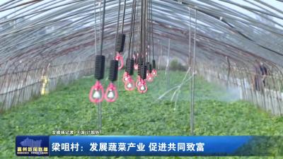 梁咀村：发展蔬菜产业 促进共同致富