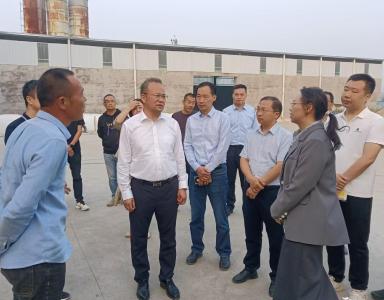 市领导到我区调研秸秆禁烧和综合利用工作