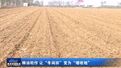 粮油轮作 让“冬闲田”变为“增收地”