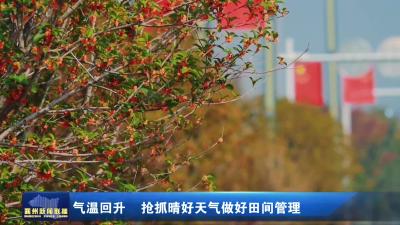 气温回升  抢抓晴好天气做好田间管理