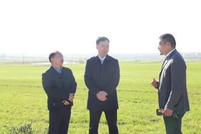 崔长领：扎实推进小流域综合治理 持续擦亮美丽乡村新底色