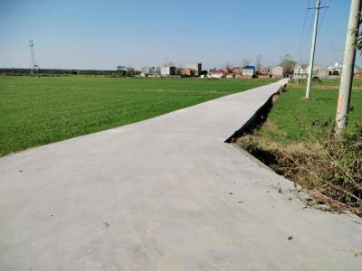 共同缔造深入人心 村民齐心修缮道路