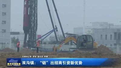 双沟镇：“链”出招商引资新优势