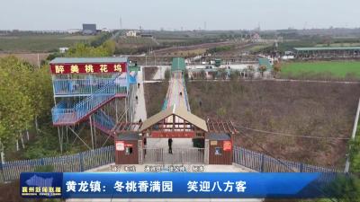 黄龙镇：冬桃香满园  笑迎八方客
