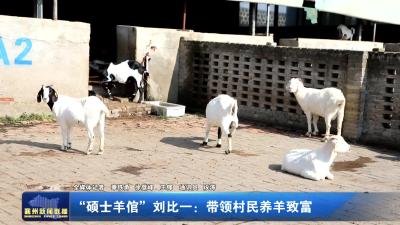 “硕士羊倌”刘比一：带领村民养羊致富