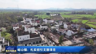 峪山镇：扎实招引文旅项目