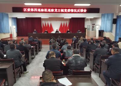 区委第四巡察组向龙王镇党委反馈巡察情况