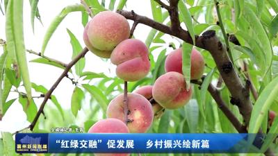“红绿交融”促发展  乡村振兴绘新篇