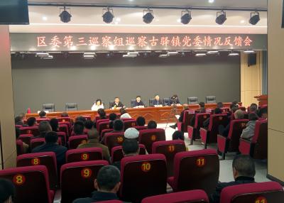 区委第三巡察组向古驿镇党委反馈巡察情况