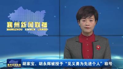 胡家宝、胡永辉被授予“见义勇为先进个人”称号