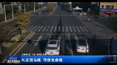 礼让斑马线 守住生命线