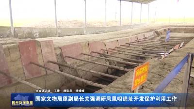 国家文物局原副局长关强调研凤凰咀遗址开发保护利用工作