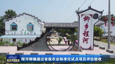 程河柳编通过省级农业标准化试点项目评估验收