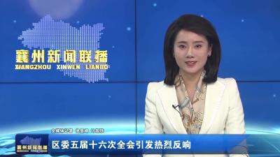 区委五届十六次全会引发热烈反响