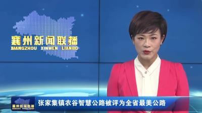 张家集镇农谷智慧公路被评为全省最美公路